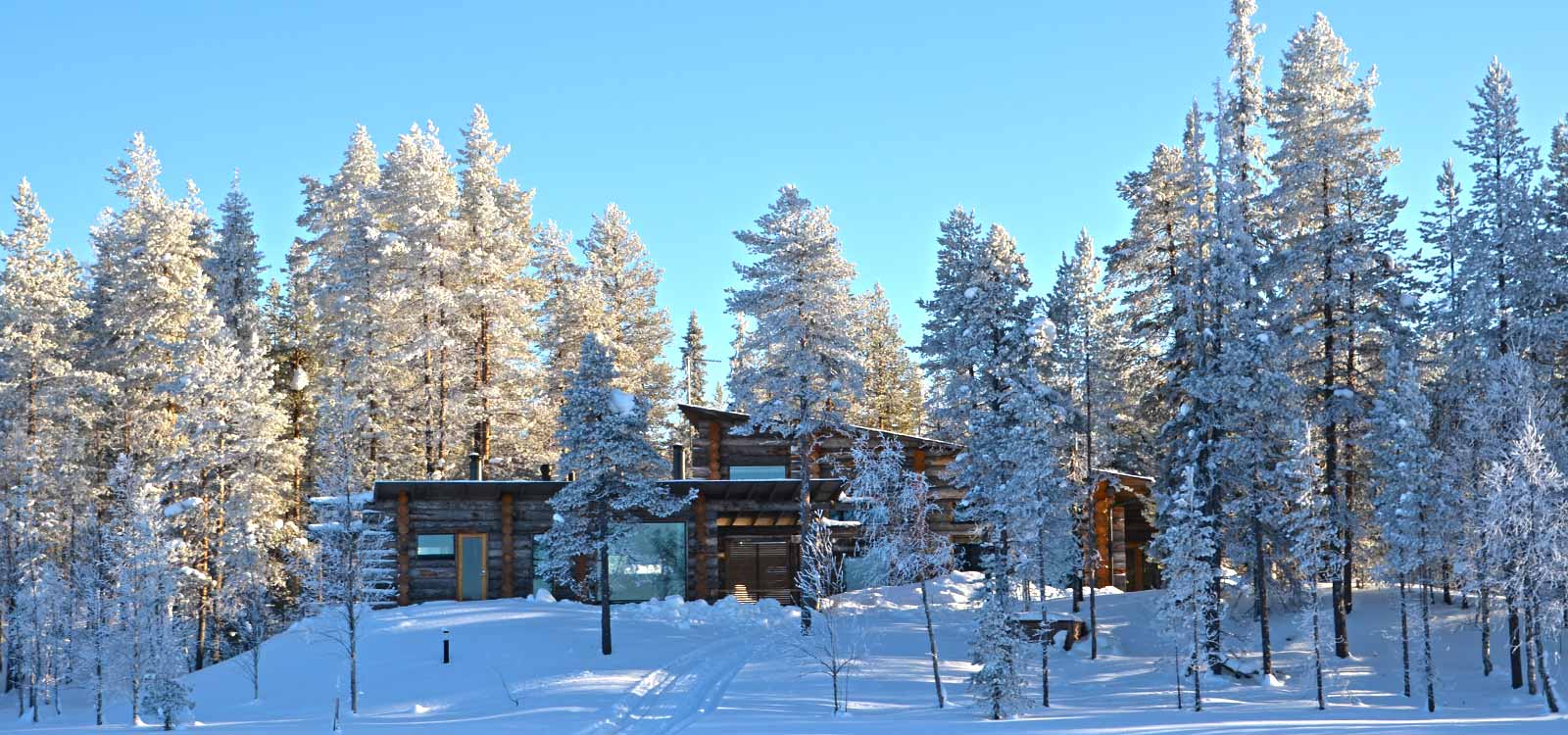 Modern log houses